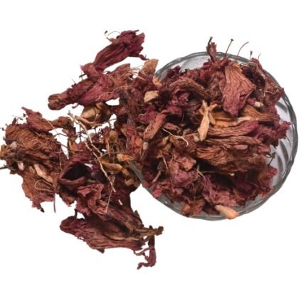 Dry Hibiscus Flower (உலர்ந்த செம்பருத்தி பூ) Hibhiscus Petals - K. Somu Chetty & Co in Chennai (1)
