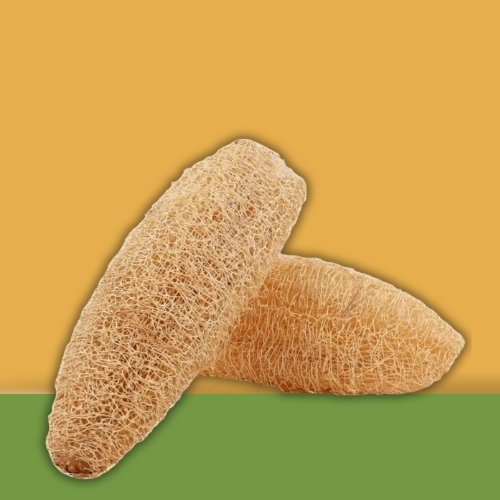 Peerkangai Scrub Loofah Ridge Gourd Scrub - K. Somu Chetty & Co in Chennai Peerkangai Scrub Loofah Ridge Gourd Scrub - K. Somu Chetty & Co in Chennai