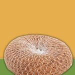 Vetiver Coconut Scrub - K. Somu Chetty & Co in Chennai