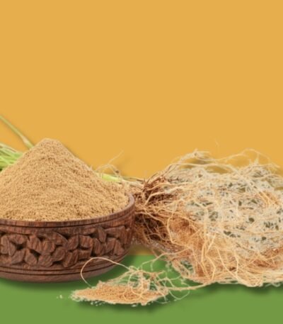 Vetiver Root - K. Somu Chetty & Co in Chennai