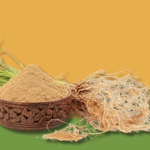 Vetiver Root - K. Somu Chetty & Co in Chennai Vetiver Root - K. Somu Chetty & Co in Chennai