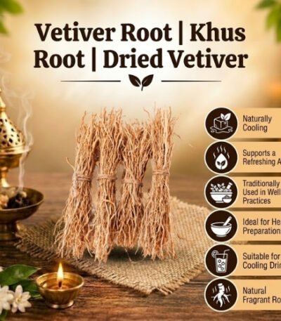 Vetiver Root – Khus Root, Lavancha Root, Dried Vetiver - K. Somu Chetty & Co in Chennai