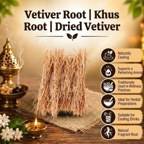 Vetiver Root – Khus Root, Lavancha Root, Dried Vetiver - K. Somu Chetty & Co in Chennai