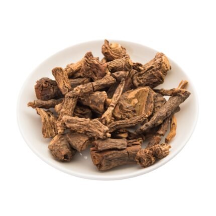 Nannari (Indian Sarsaparilla) Nature’s Refreshing Elixir - K. Somu Chetty & Co