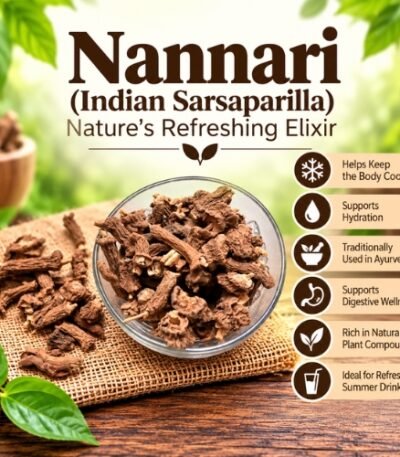 Nannari (Indian Sarsaparilla) Nature’s Refreshing Elixir - K. Somu Chetty & Co in Chennai
