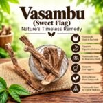 Vasambu (Sweet Flag) Nature’s Timeless Remedy - K. Somu Chetty & Co in Chennai