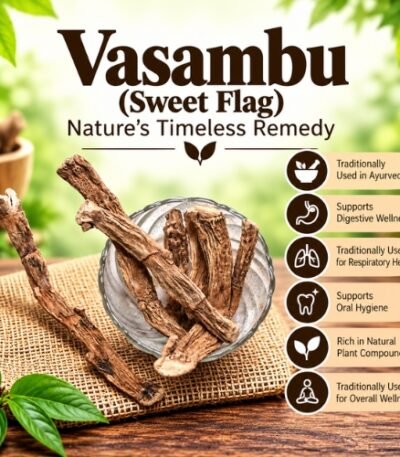 Vasambu (Sweet Flag) Nature’s Timeless Remedy - K. Somu Chetty & Co in Chennai