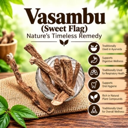 Vasambu (Sweet Flag) Nature’s Timeless Remedy - K. Somu Chetty & Co in Chennai
