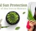 Natural Sun Protection The Power of Aloe Vera in Skincare - K Somu Chetty & Co