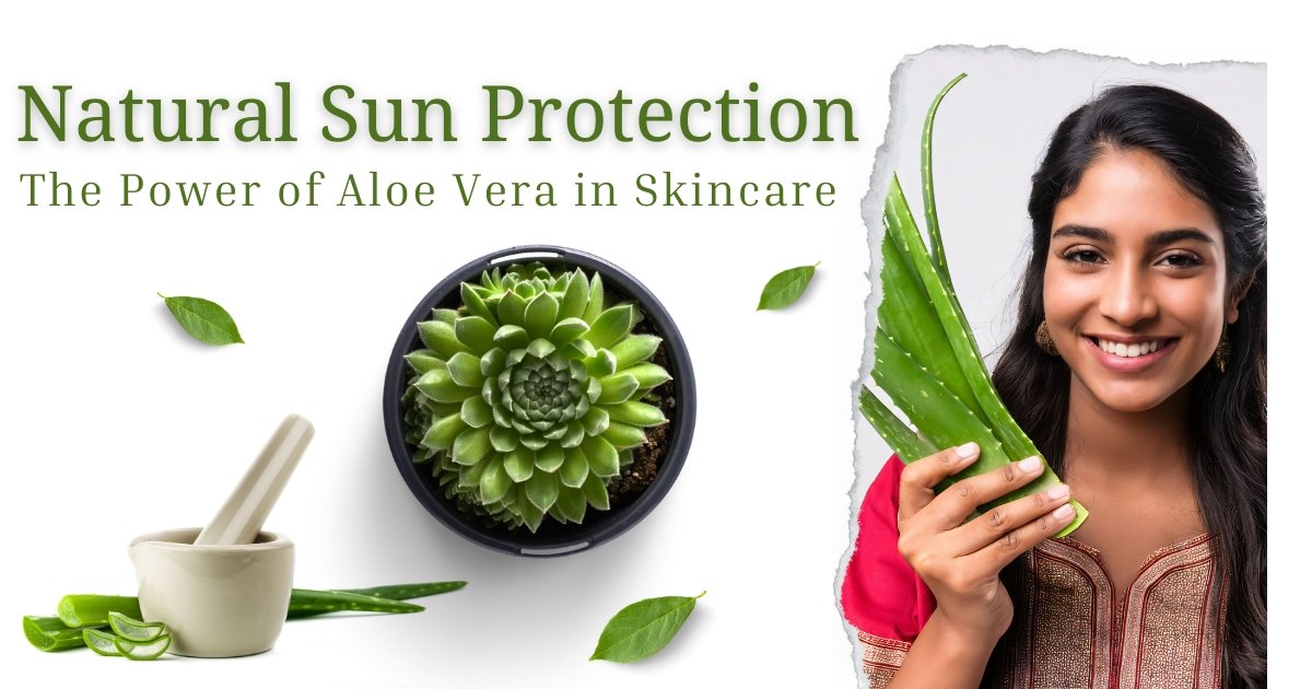 Natural Sun Protection The Power of Aloe Vera in Skincare - K Somu Chetty & Co