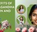 10 Benefits of Ashwagandha for Skin and Hair - K. Somu Chetty & Co