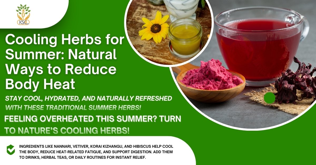 Cooling Herbs for Summer Natural Ways to Reduce Body Heat - K. Somu Chetty & Co
