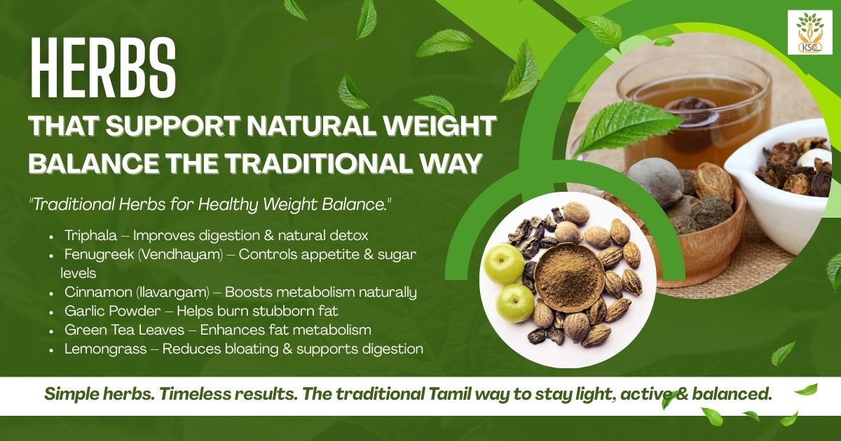 Herbs That Support Natural Weight Balance the Traditional Way
